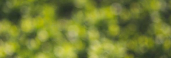 lubbock channel guide