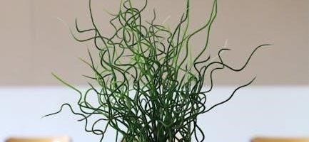 marble rush instructions pdf