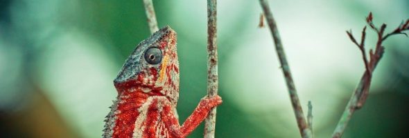 nikon d810 user manual