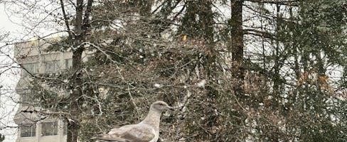 celsius to fahrenheit table pdf