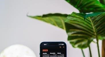 traditional latin mass calendar 2023 pdf