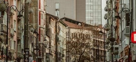 theracal lc instructions