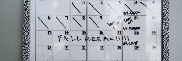 roadkill nights 2024 schedule pdf