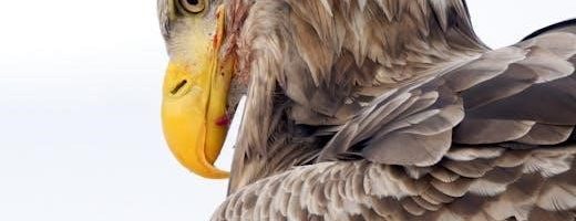 eagle service project workbook pdf