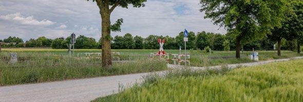 signing naturally unit 9 answer key pdf