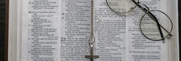 bible study guide for beginners pdf