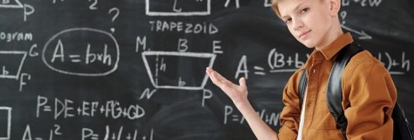 noco genius g15000 manual