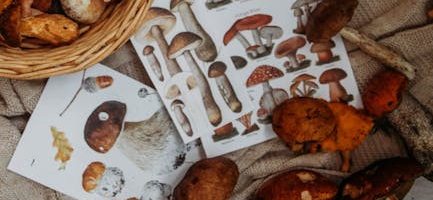 prot paladin leveling guide