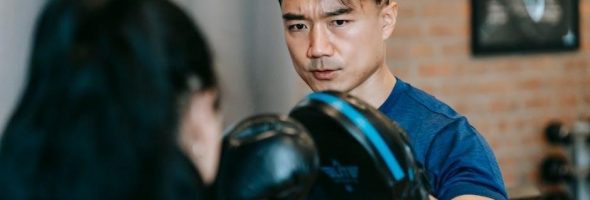 petsafe litter box instructions