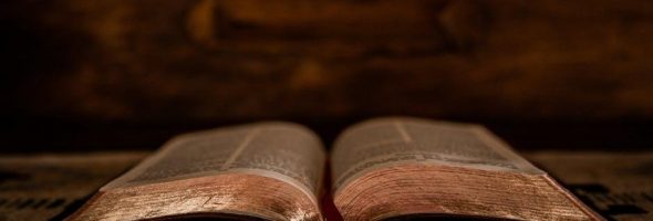 kjv bible study guide