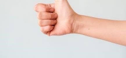 hermle 340-020 manual pdf